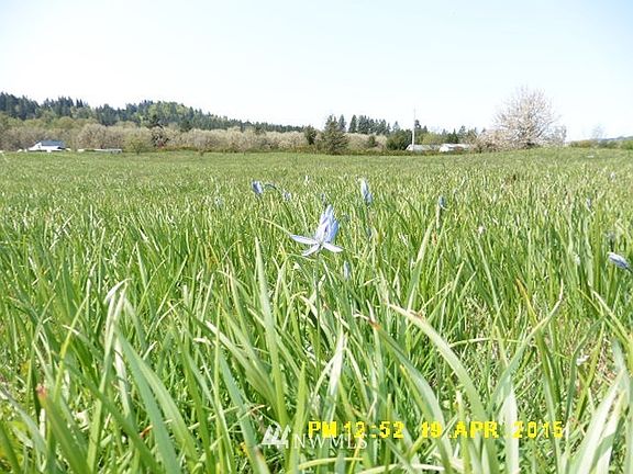 2nd image of 0 XXX Oak Meadows Lane