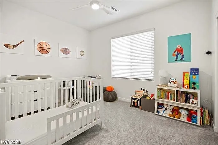 741 Foreign Reef Way — Photo 12