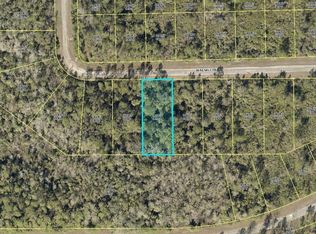 383 Walsh Cir, Lehigh Acres, FL 33972