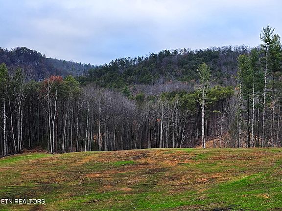 4th image of Creek Rd