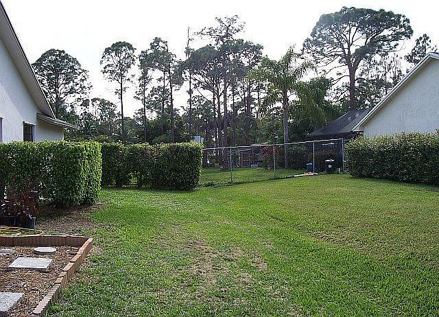 FRONT OF YARD WEST SIDE