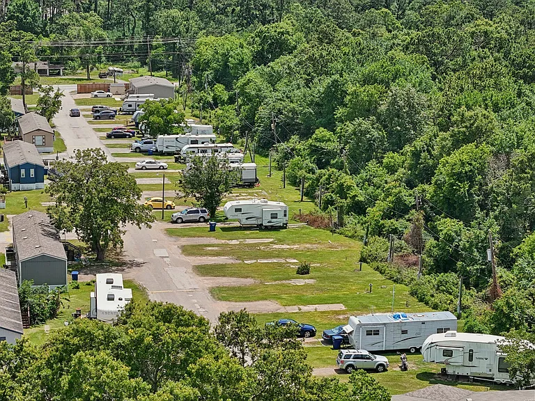 Forest Vista — Photo 13
