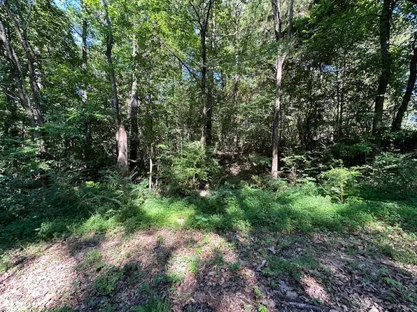 0 Cummins Road Eva Harbor Rd, Eva, TN 38333