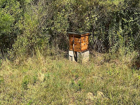 4th image of 4433 Samuel Ln