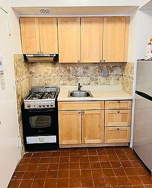 4th image of 239 W 16th St #B11