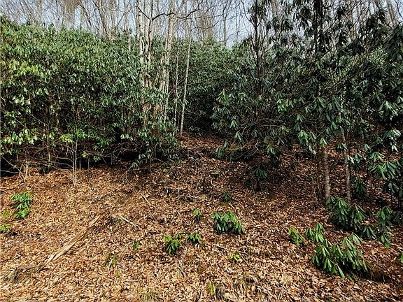 3rd image of 118 Deergrass Road