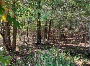 Buzzard Roost Rd, Mountain Home, AR 72653
