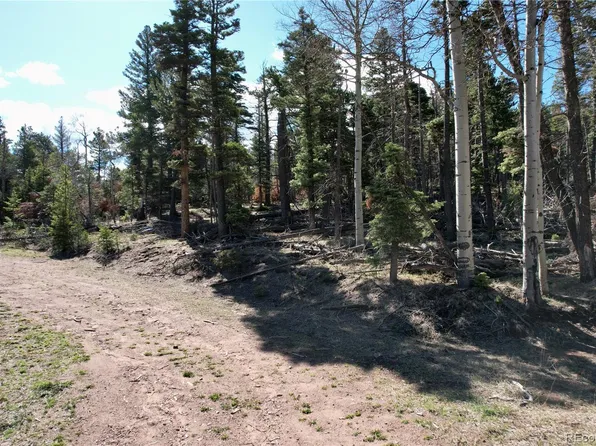 2966 Kemper Loop, Fort Garland, CO 81133