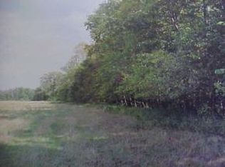 Bison Rd, Fremont, WI 54940