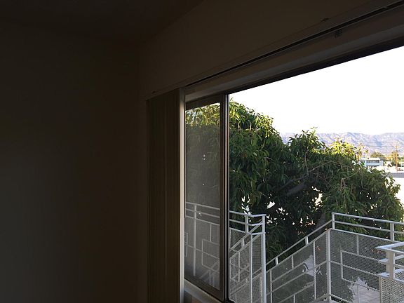 View of Trees