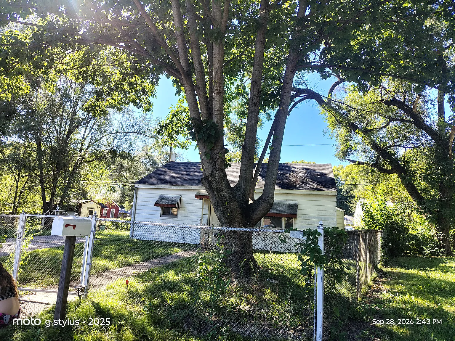 2 bed, 720 sqft, $895 — Photo 3