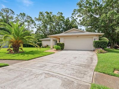 2875 Lomond Dr, Palm Harbor, FL, 34684