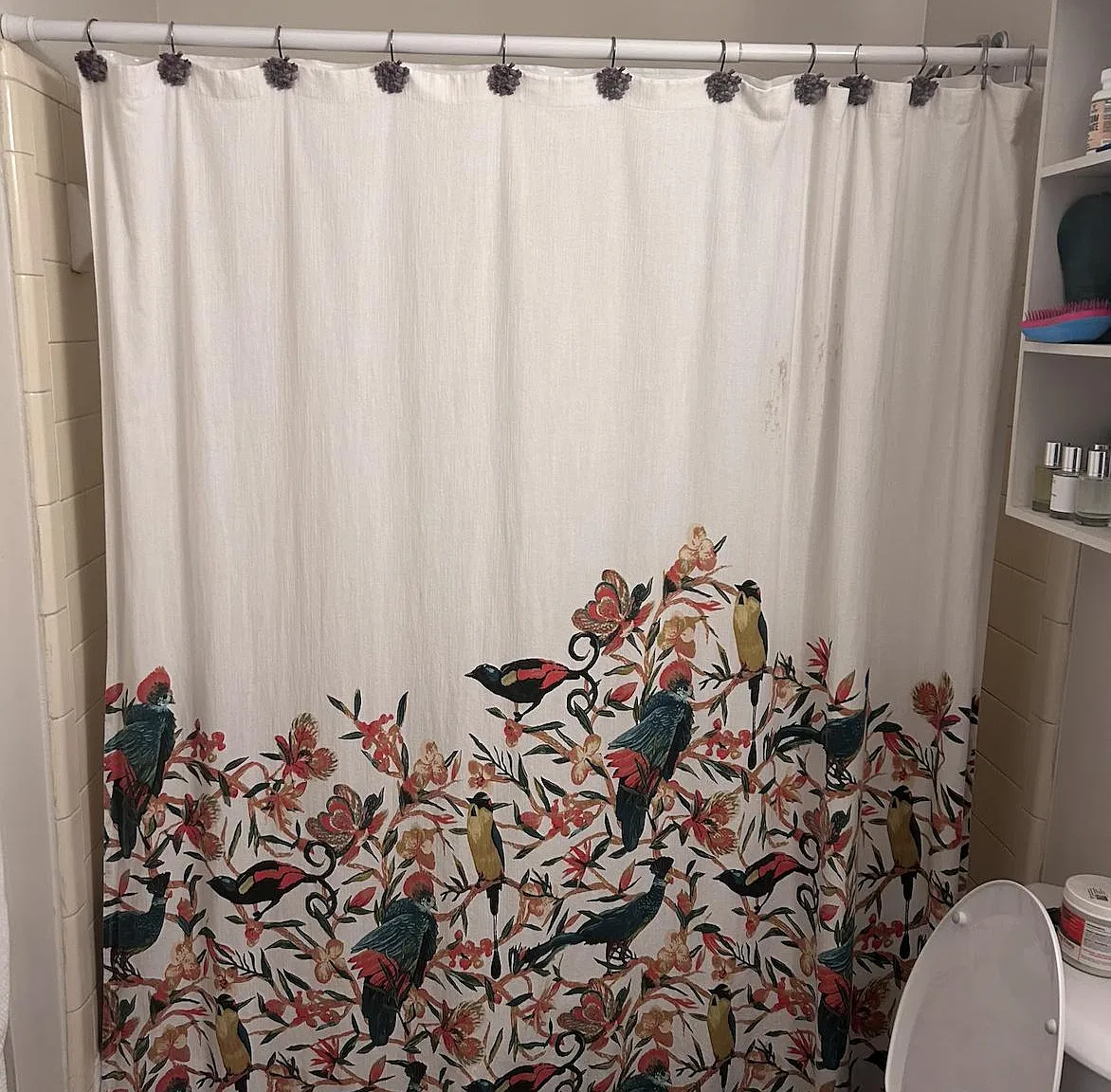 1 bed, 670 sqft, $1,750 — Photo 3
