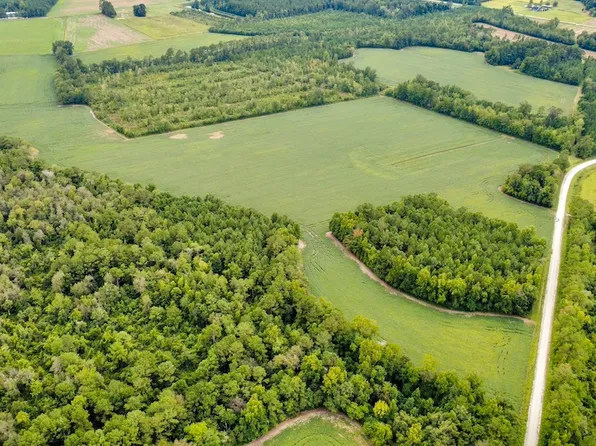 Norton Rd Lot Wp000, Nichols, SC 29581