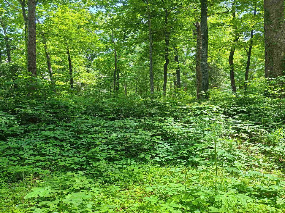 1st image of 1331 Carolina Loop Lot 7