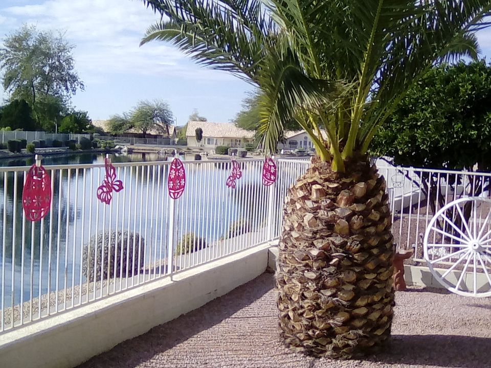 1st image of 10847 W Irma Ln