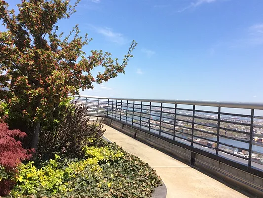 Rented by Sotheby's International Realty | media 20