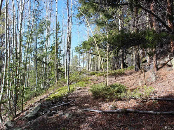 4-2 Lamertine Road LOT 9802, Idaho Springs, CO 80452