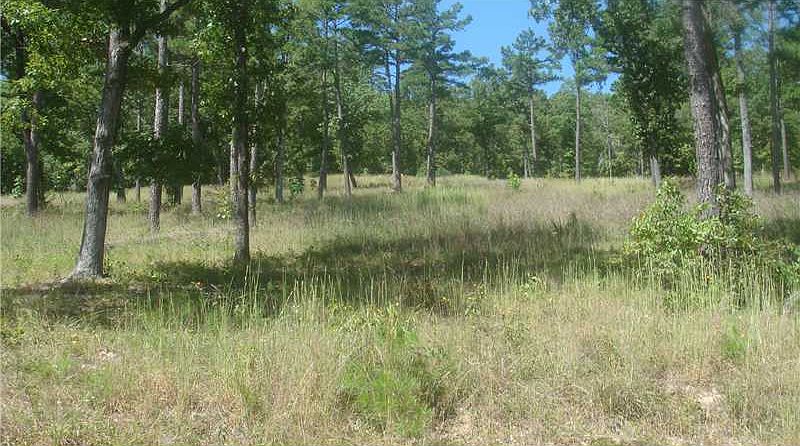 1st image of County Road 309 #1