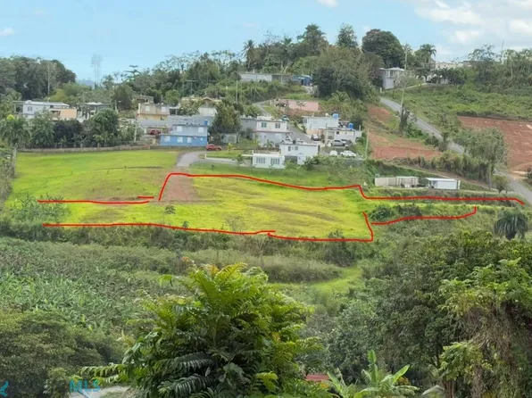 N/a Bo Plata, Moca, PR 00676