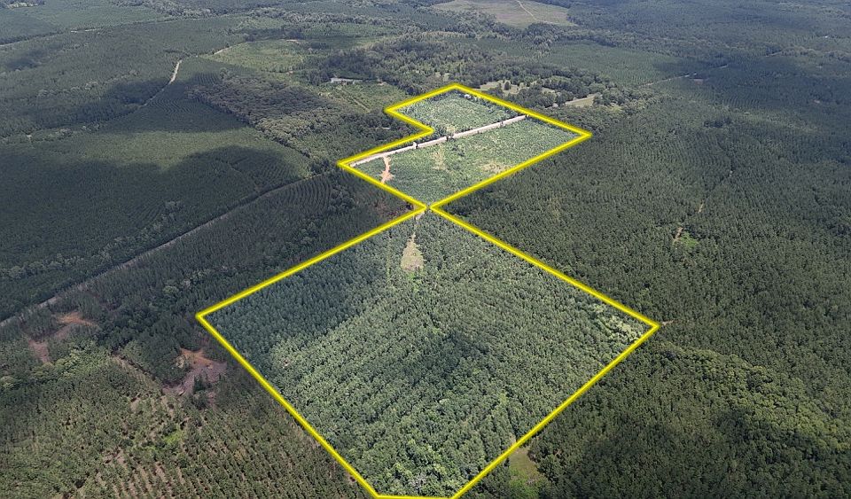 1st image of Highway 548 Lot Wp005