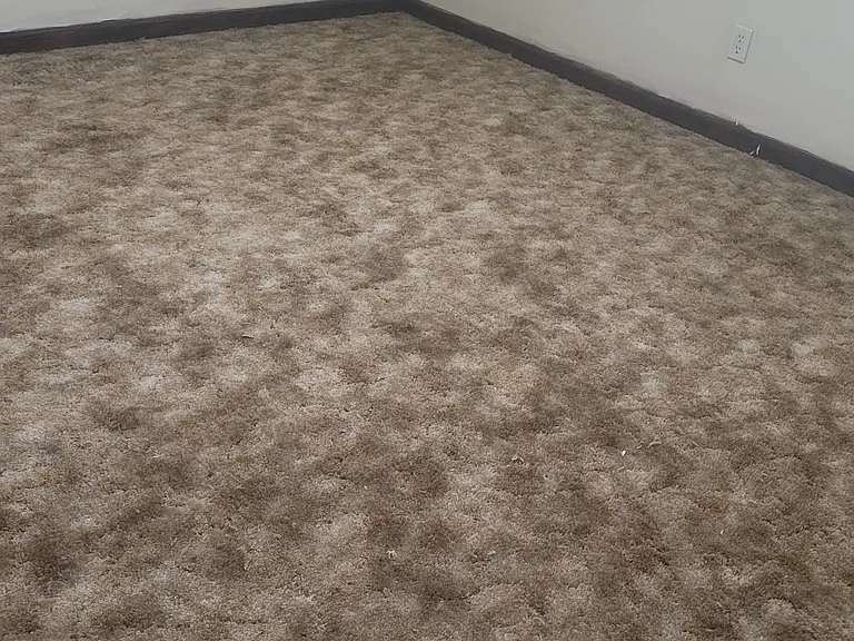 1683 Baugh St #1683 — Photo 8