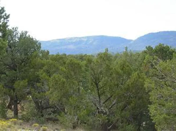 73 Canyon Ridge Dr, Sandia Park, NM 87047
