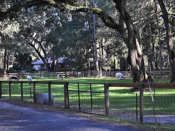Fenced pasture