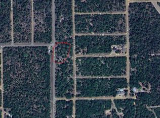 0 Francis St, Interlachen, FL 32148
