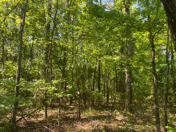 0 Surles Rd, Lapine, AL 36046