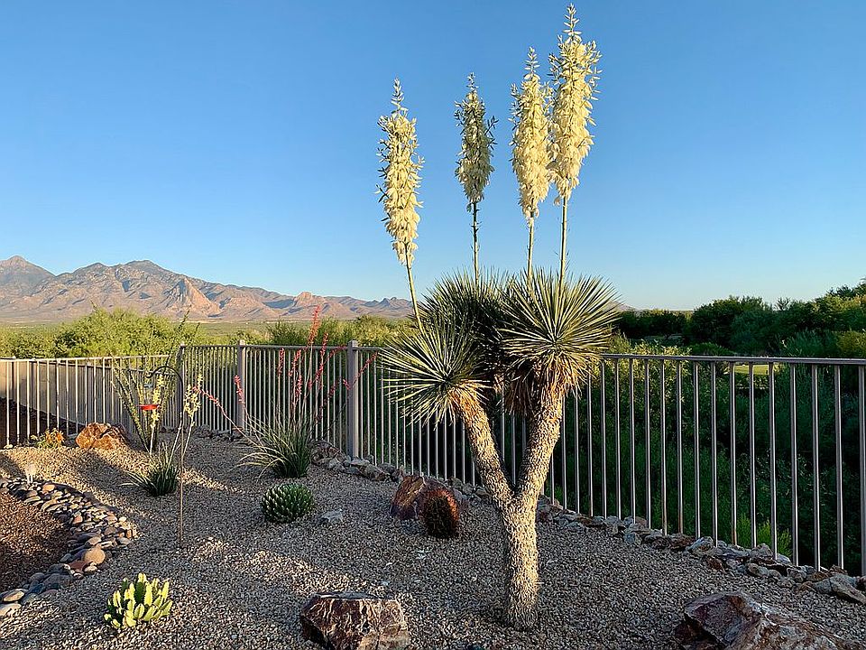 2nd image of 1761 W Placita Canoa Azul