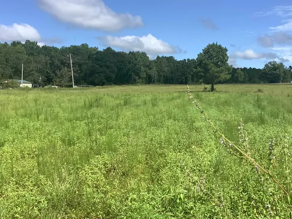 74 Old School Rd, Opp, AL 36467