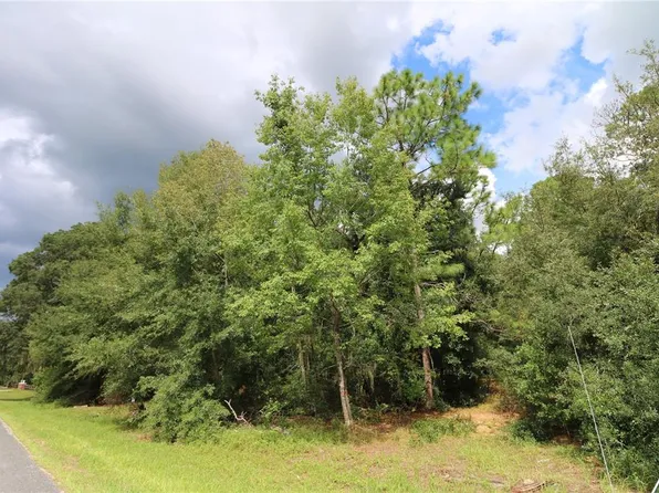 SE 52 COURT, OCALA, FL 34480