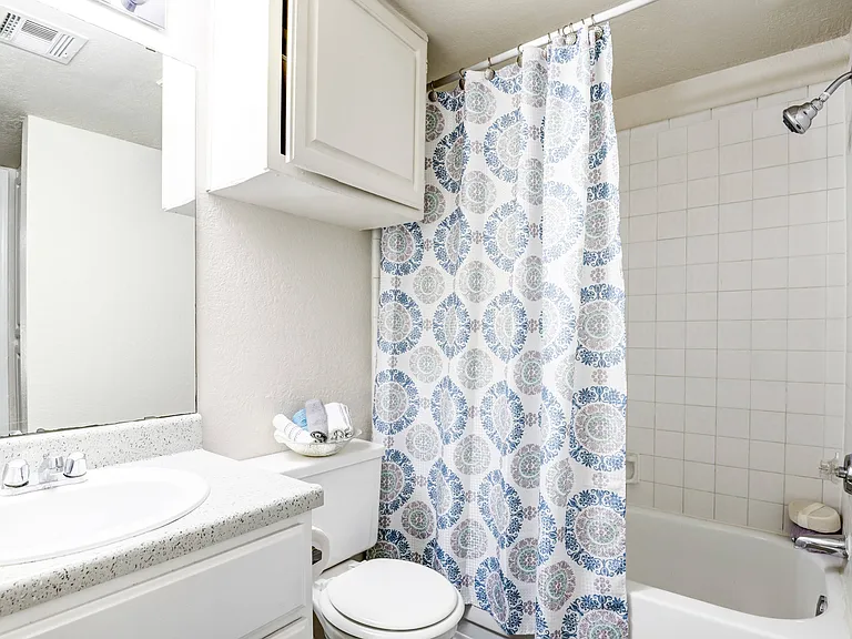 Full Bathroom View