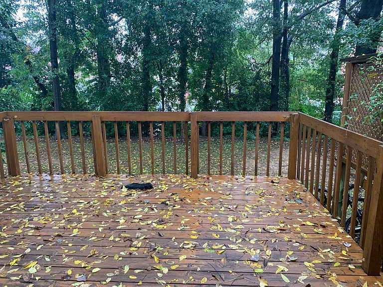 3113d — Photo 2