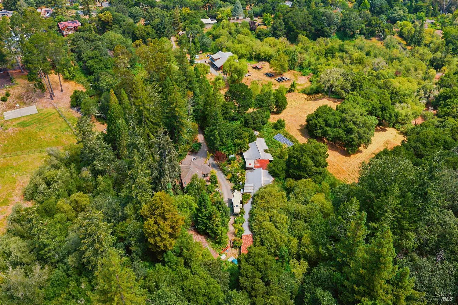589 Pleasant Hill Road - Photo 3
