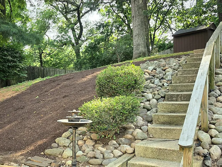 Backyard stairs