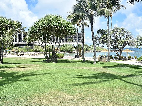 view of Turtle Bay Resort