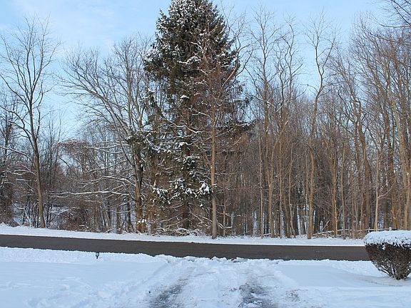 Looking out from the front