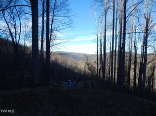 Roan Springs Rd, Roan Mountain, TN 37687