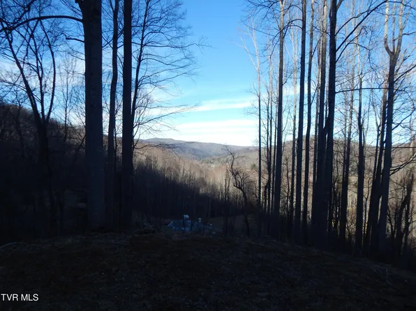 Roan Springs Rd, Roan Mountain, TN 37687