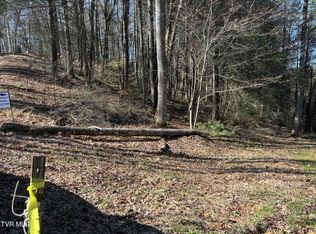 445 Possum Valley Rd, Laurel Bloomery, TN 37680