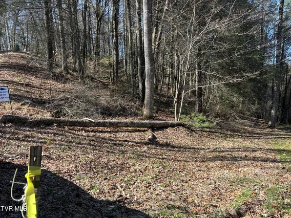 445 Possum Valley Rd, Laurel Bloomery, TN 37680