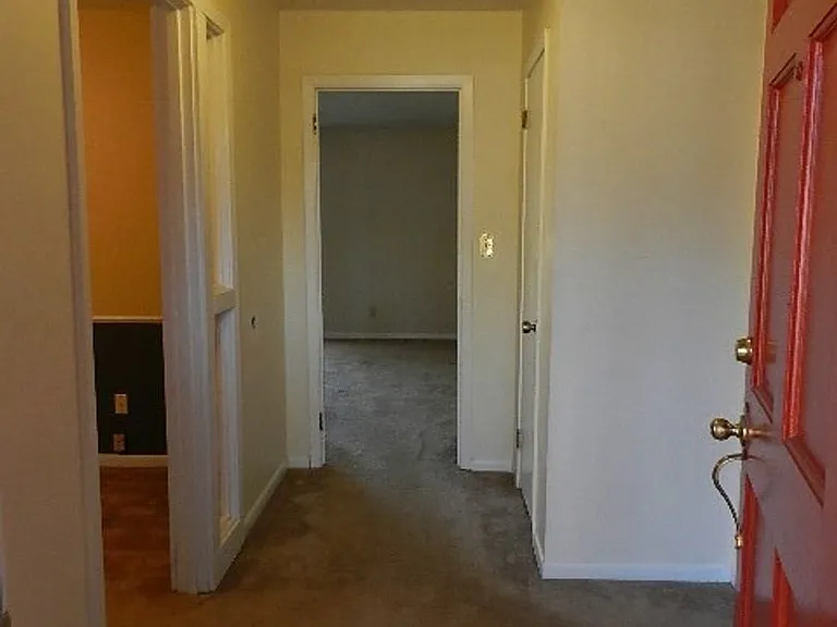 4317 Oak Ridge Bnd — Photo 4