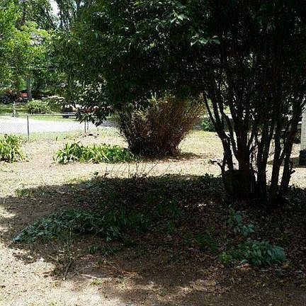 4th image of 11784 Water Bluff Dr E