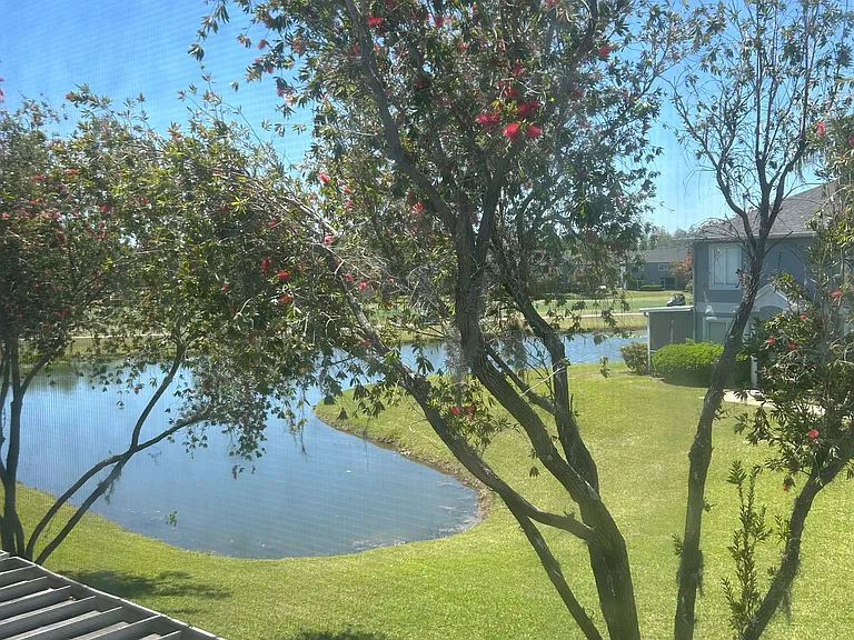 View From Upstairs Bedroom