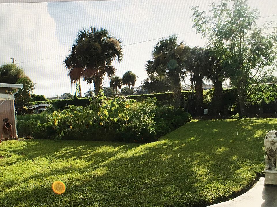 Back yard