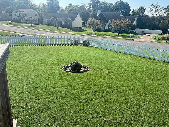 Inside Fenced-In Back Yard