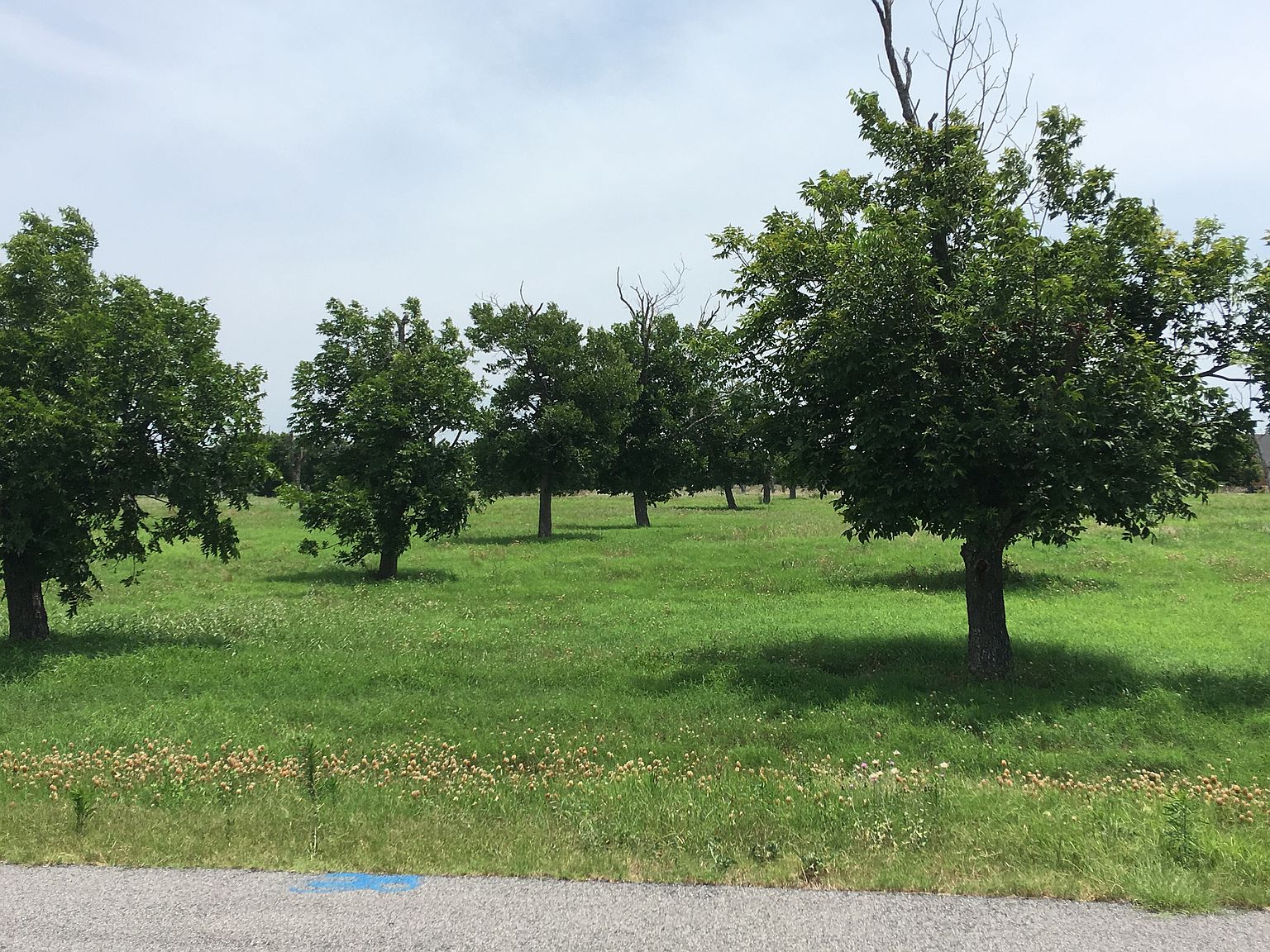 11015 Orchards Blvd, Cleburne, TX 76033 Zillow