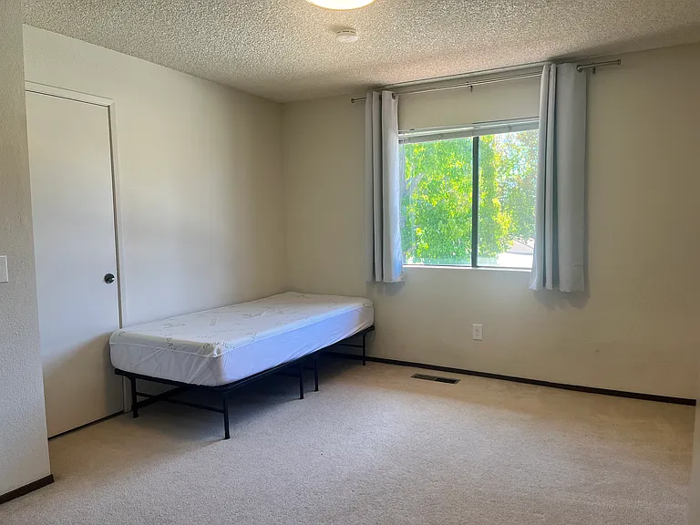 161 Peach Ter — Photo 15
